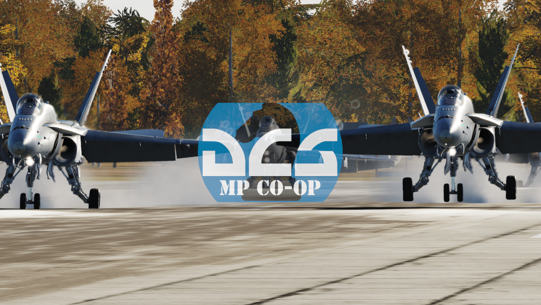 The DCS MP CO-OP Group